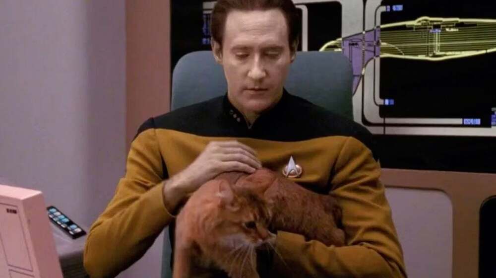 Hemos aceptado durante 30 años este error de 'Star Trek' sin cuestionarlo: Algo no encaja con el gato de Data