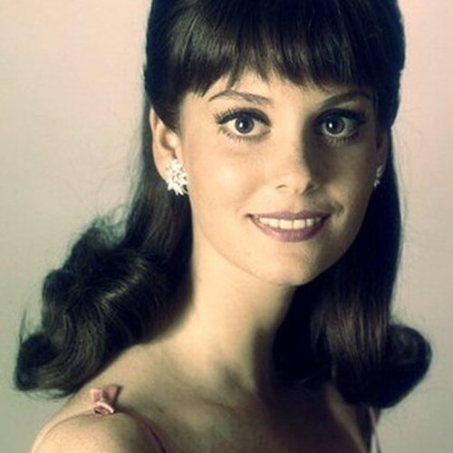 Lesley Ann Warren