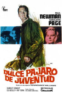 Dulce Pájaro de Juventud