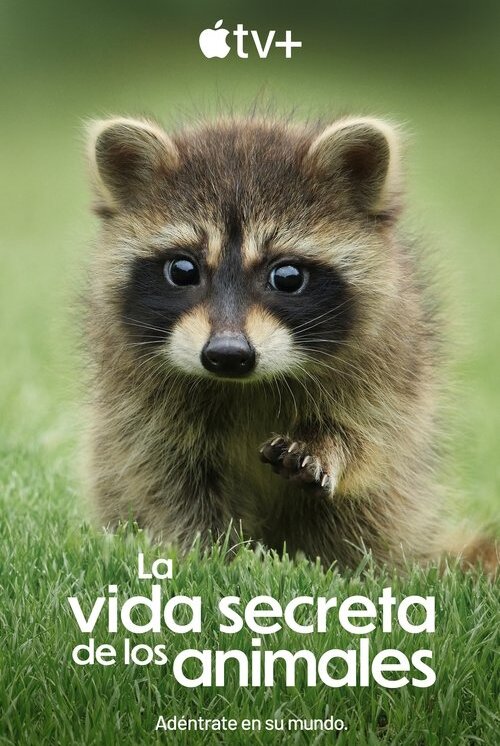 La Vida Secreta de los Animales